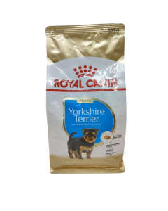 Yorkshire Terrier cachorro 500gr