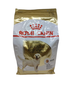Labrador Retriever ADULT Croquetas kg 3 Royal Canin