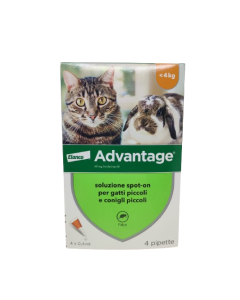 VENTAJA 40 gatos y conejos &lt;4 kg