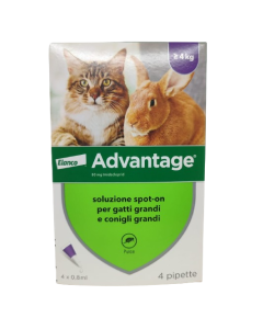 Elanco Advantage gato y conejo