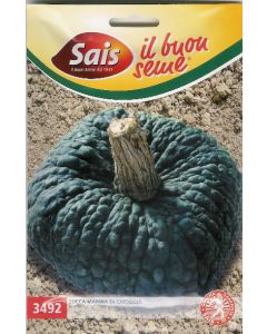 Zucca marina di chioggia