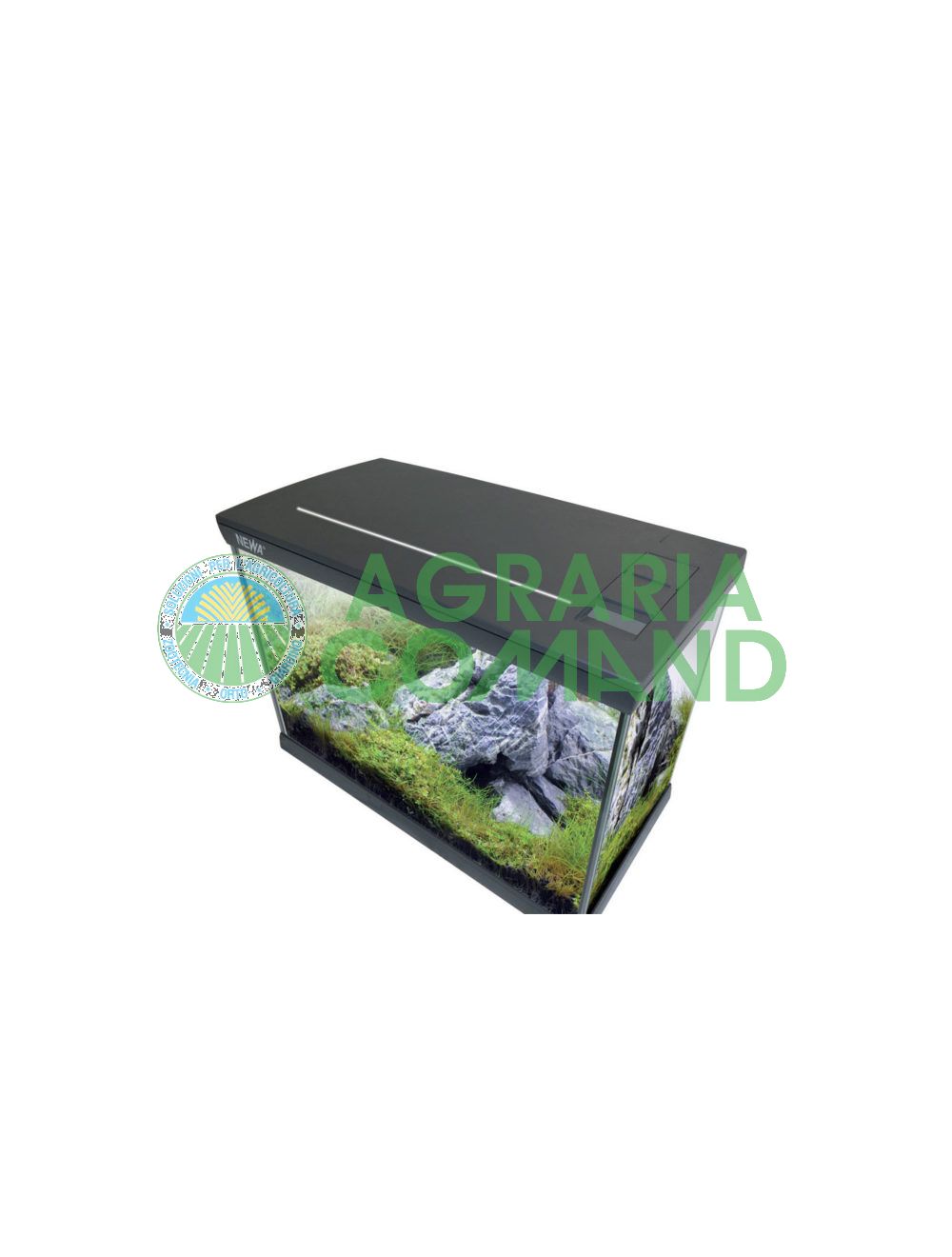 Acuario Mirabello Newa Acuario Mirabello Newa