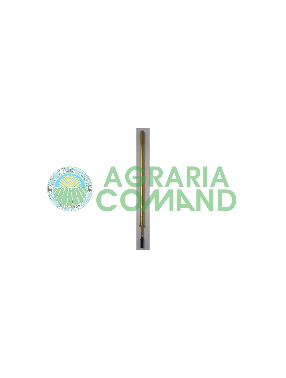 Aguja inyectora para palmas 200 mm