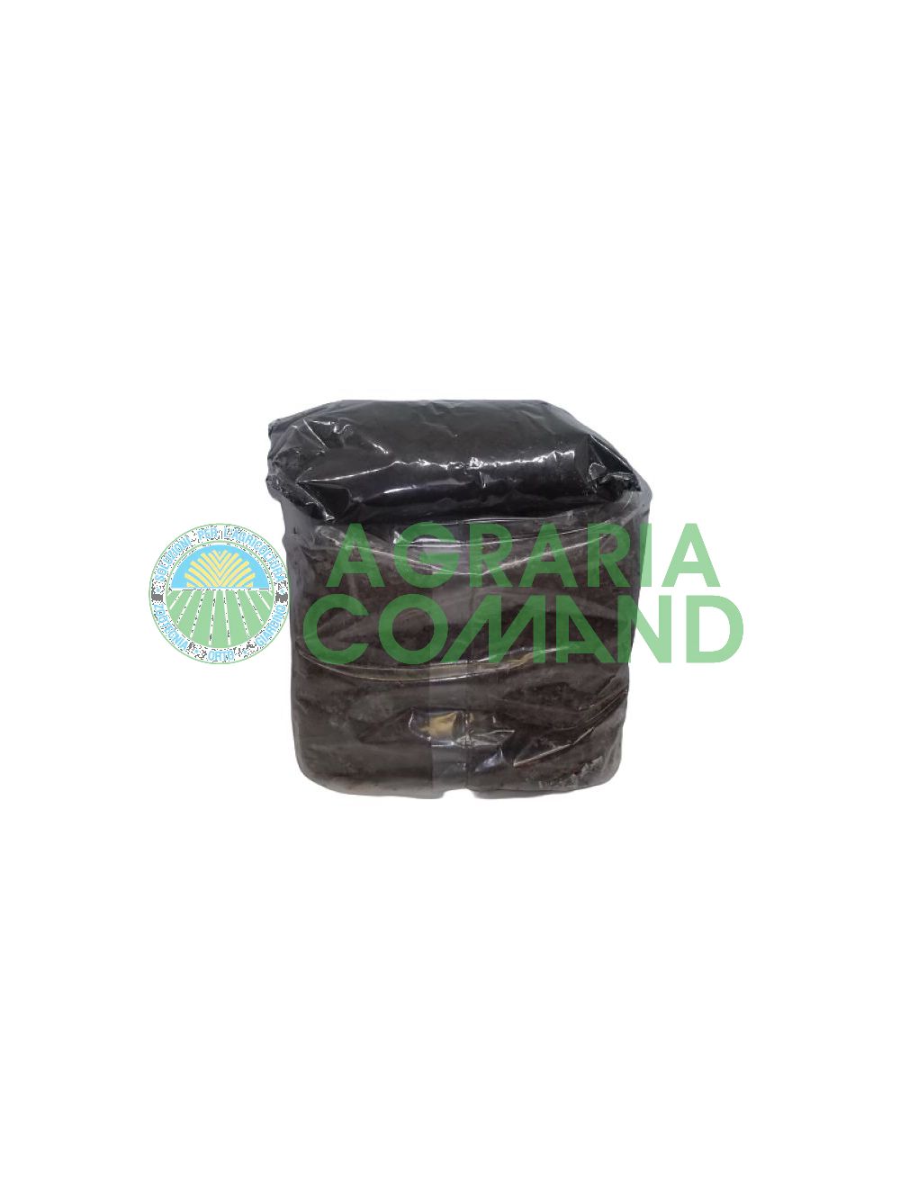 Dúo de baile Dúo de baile