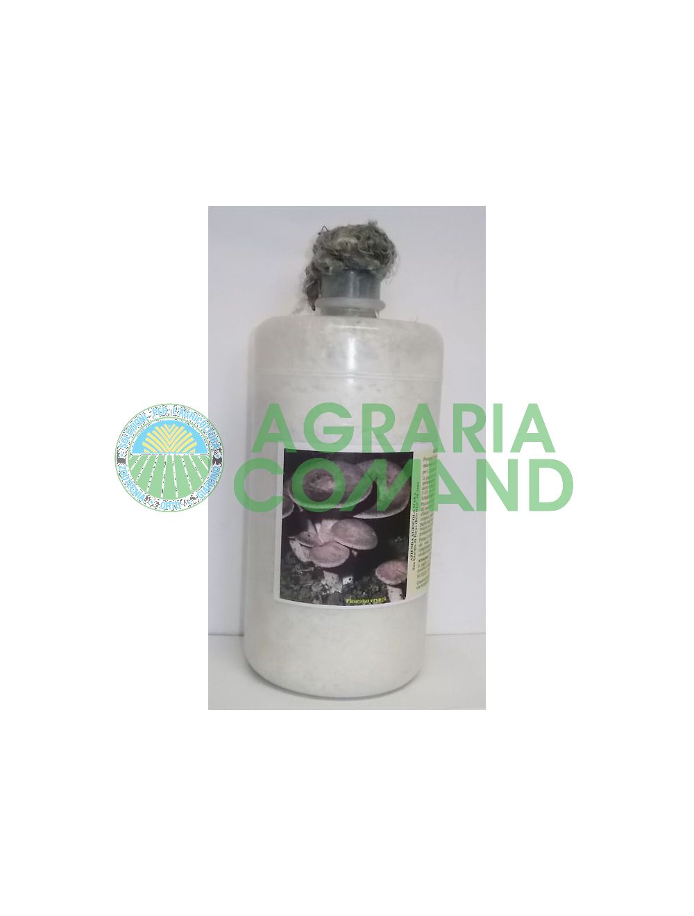 Micelio fresco Cardoncello