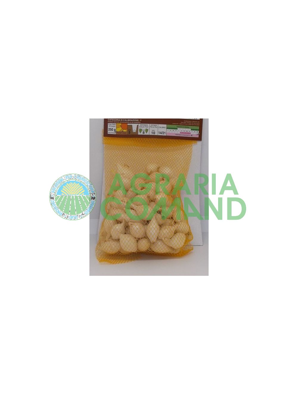 bulbillos de cebolla blanca