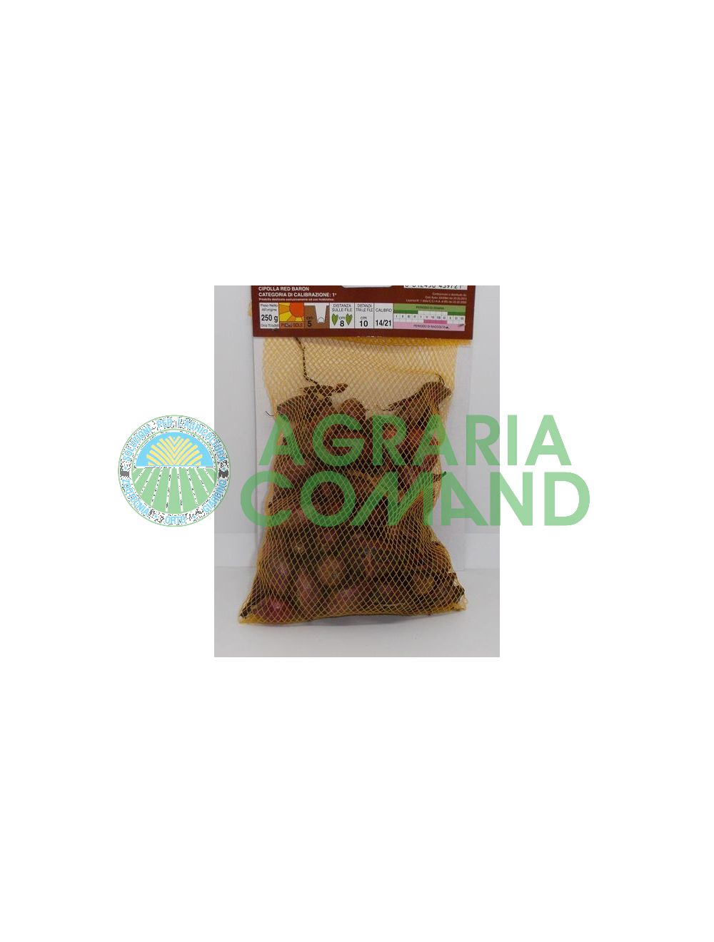 Bulbos de cebolla roja