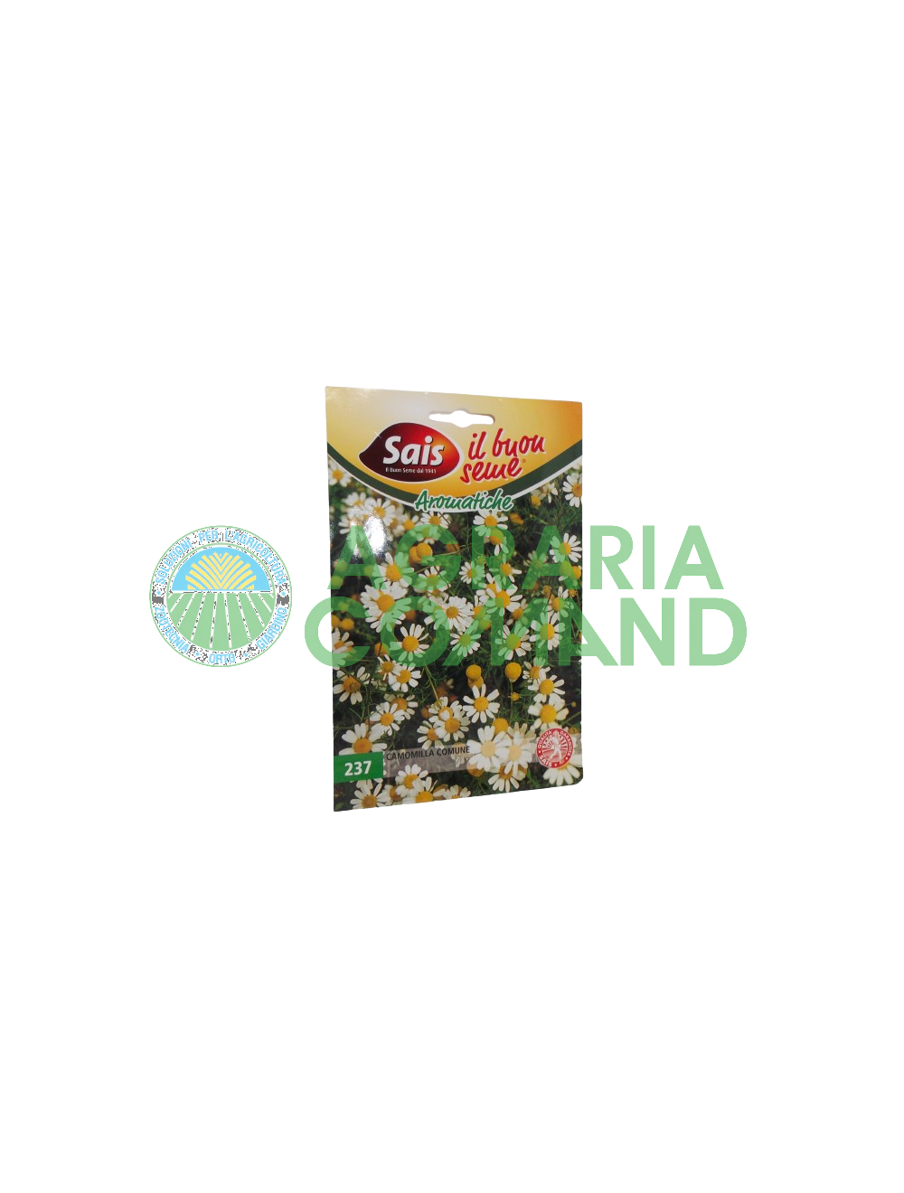 Semilla de manzanilla común