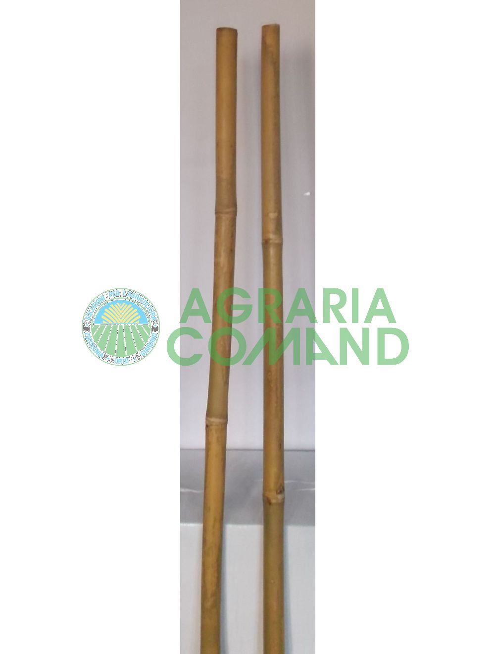 Abrazadera de caña de bambú