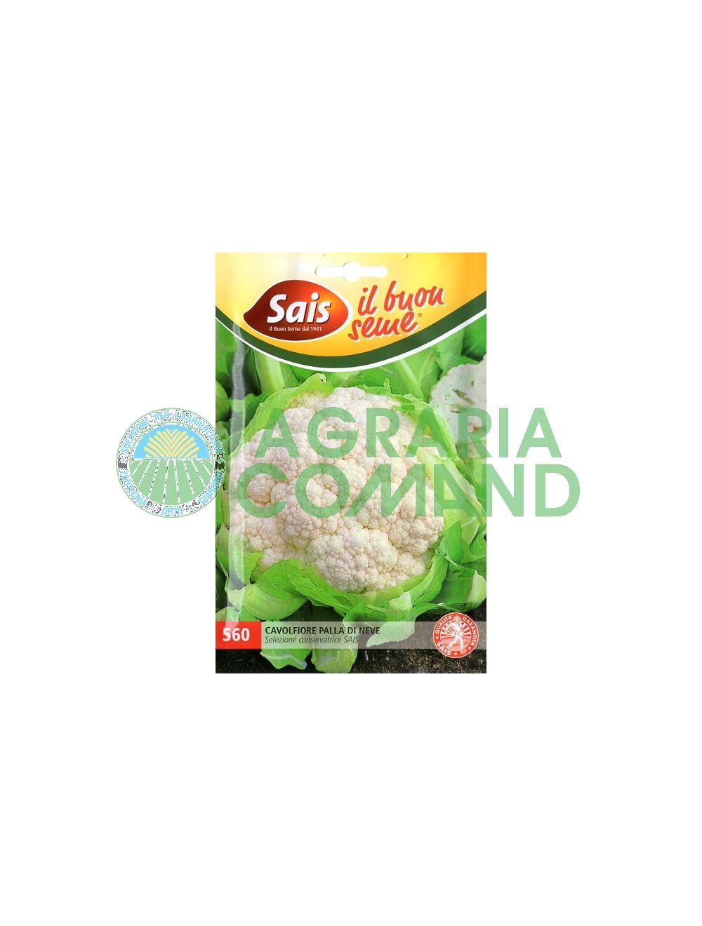 Coliflor bola de nieve Coliflor bola de nieve