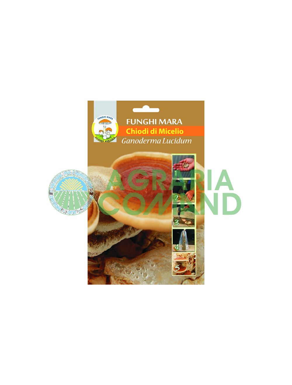 ganoderma lucidum uñas