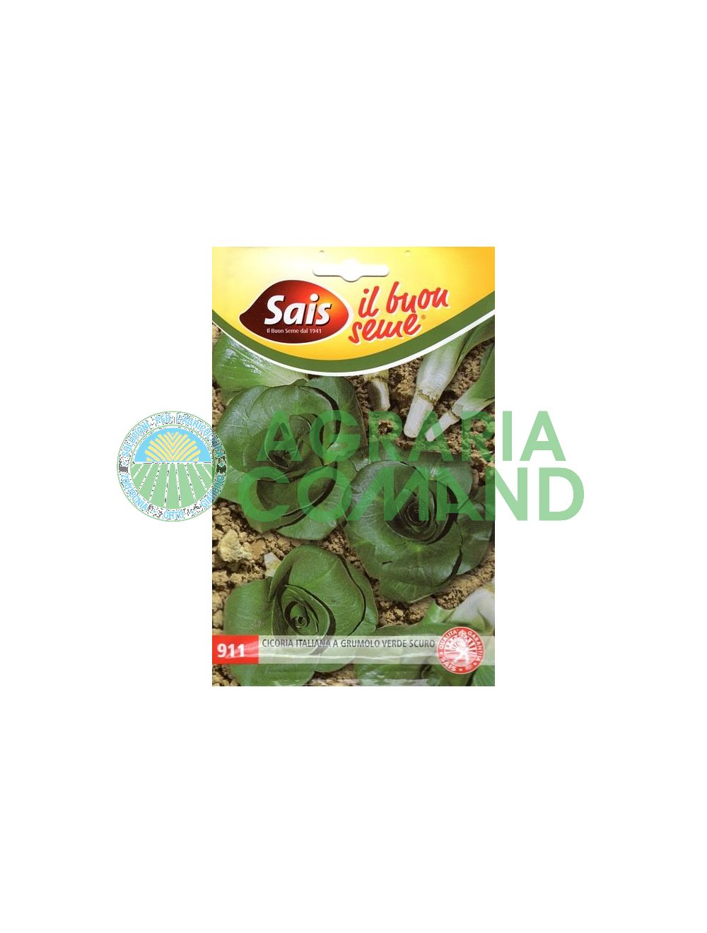 Achicoria verde oscuro Achicoria verde oscuro