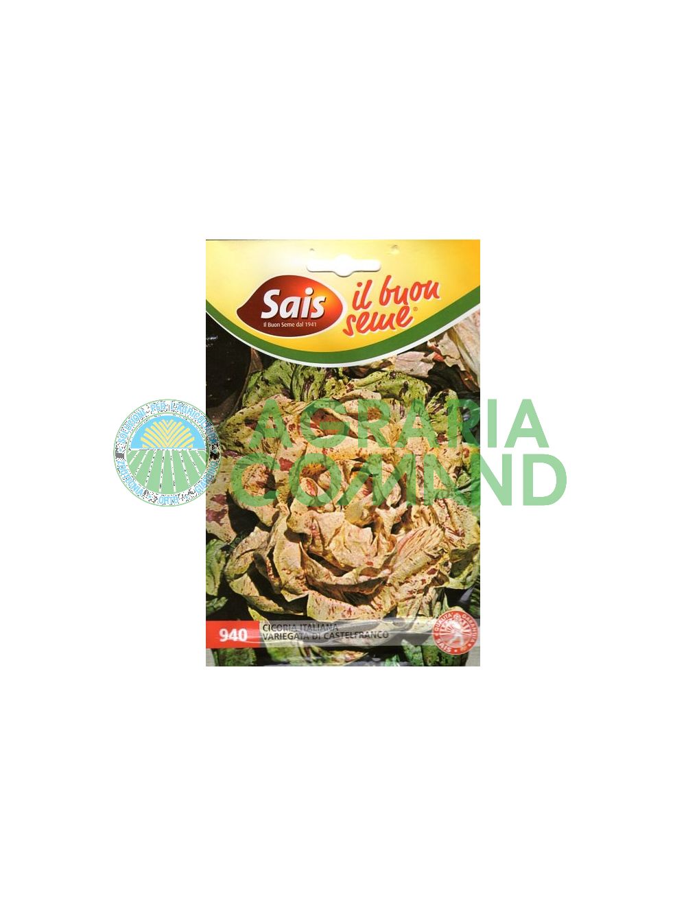 Achicoria de Castelfranco variegada Achicoria de Castelfranco variegada