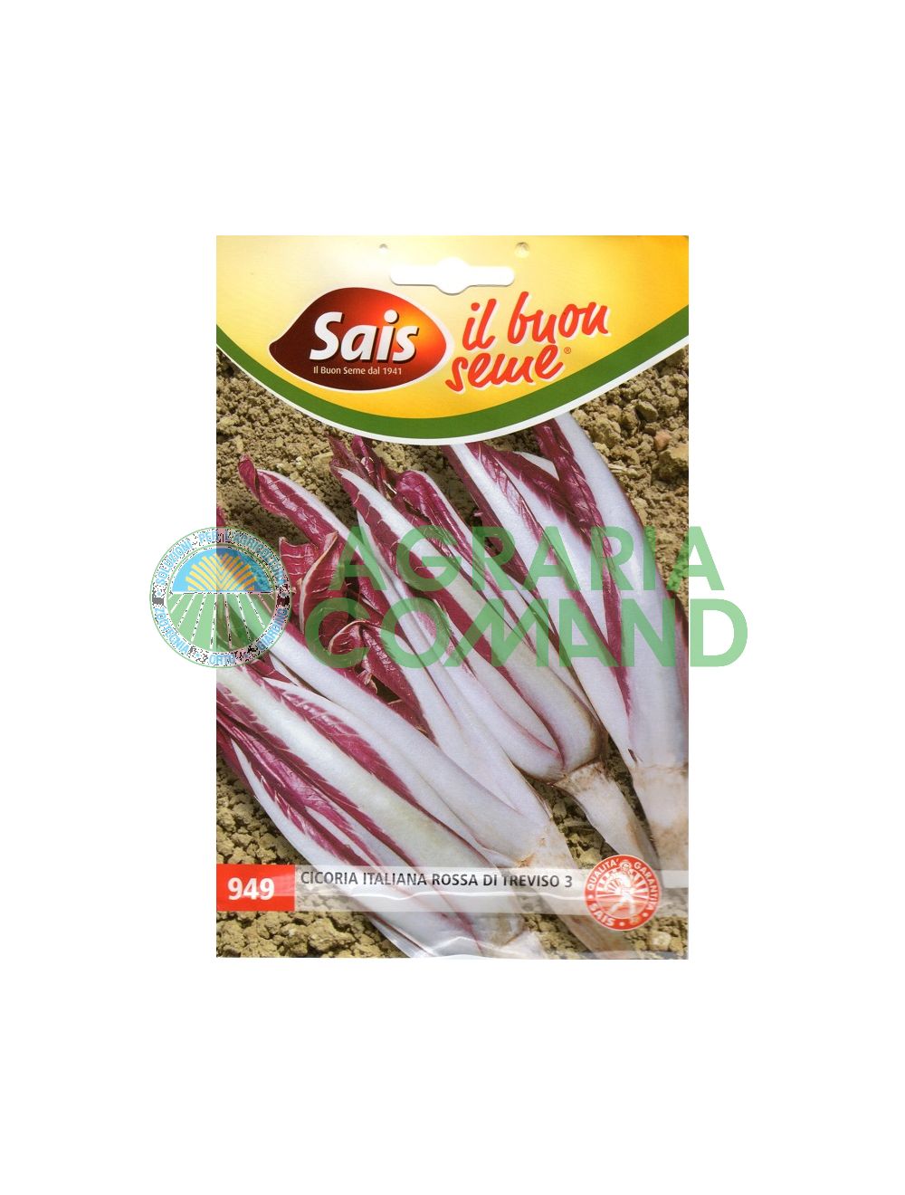 Achicoria de Treviso 3 Sais