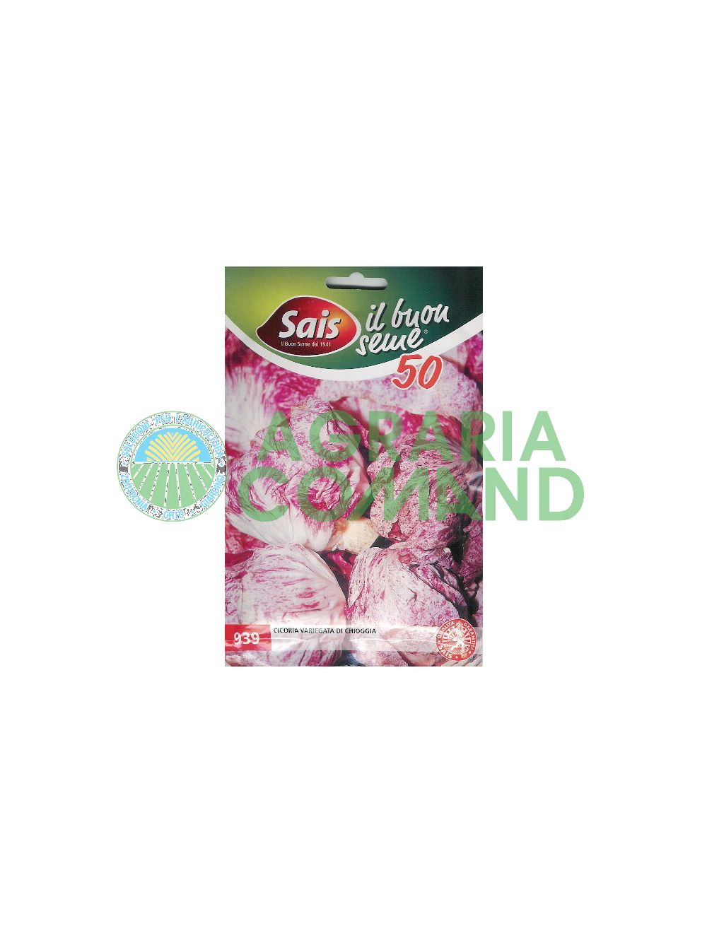 Semilla de achicoria chioggia variegada Semilla de achicoria chioggia variegada