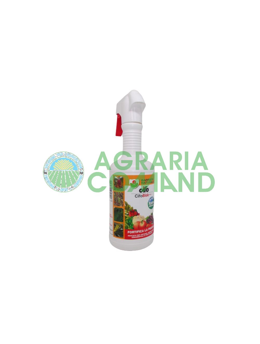 Cifo Block Cifo Block