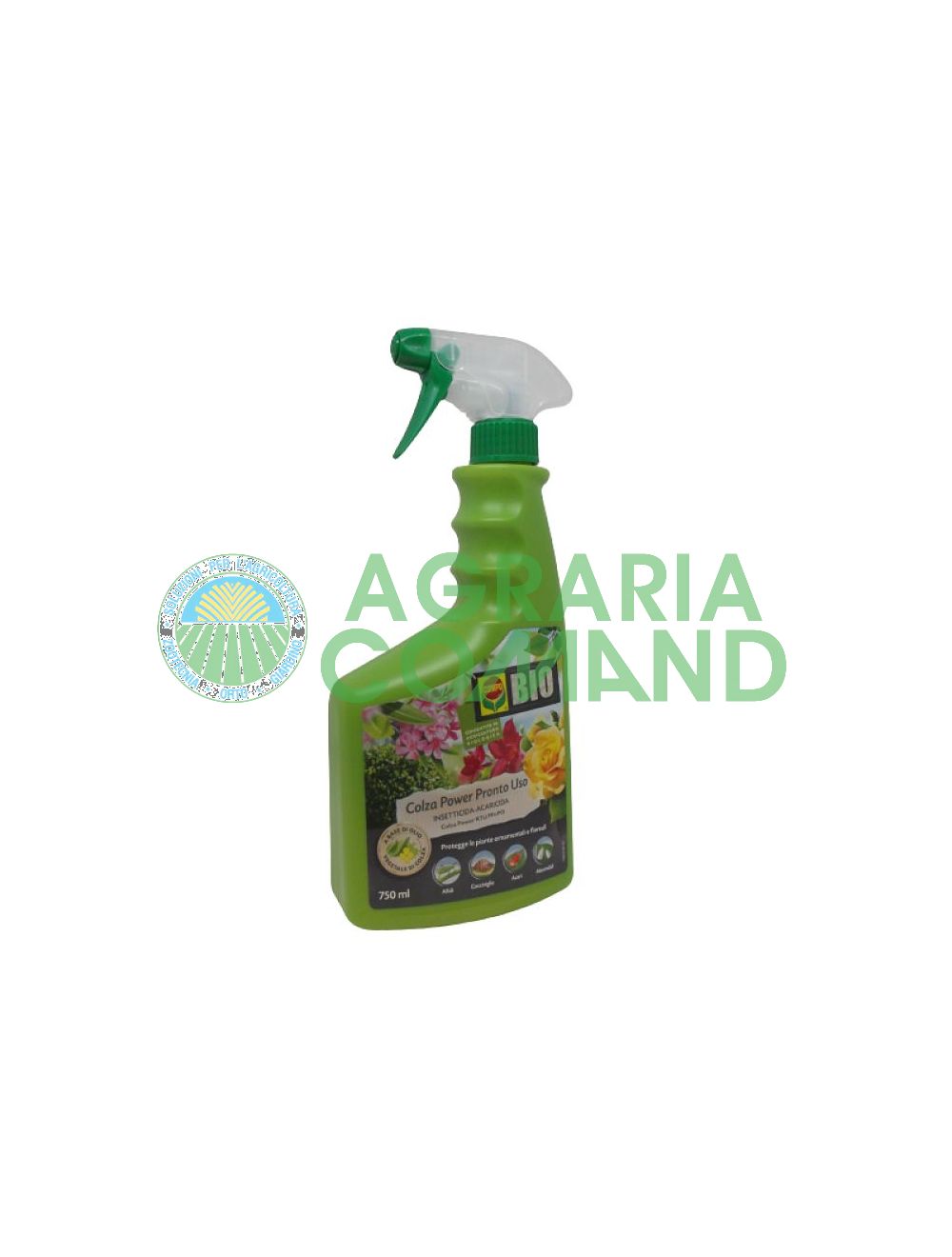 Colza oleaginosa insecticida Compo Colza oleaginosa insecticida Compo