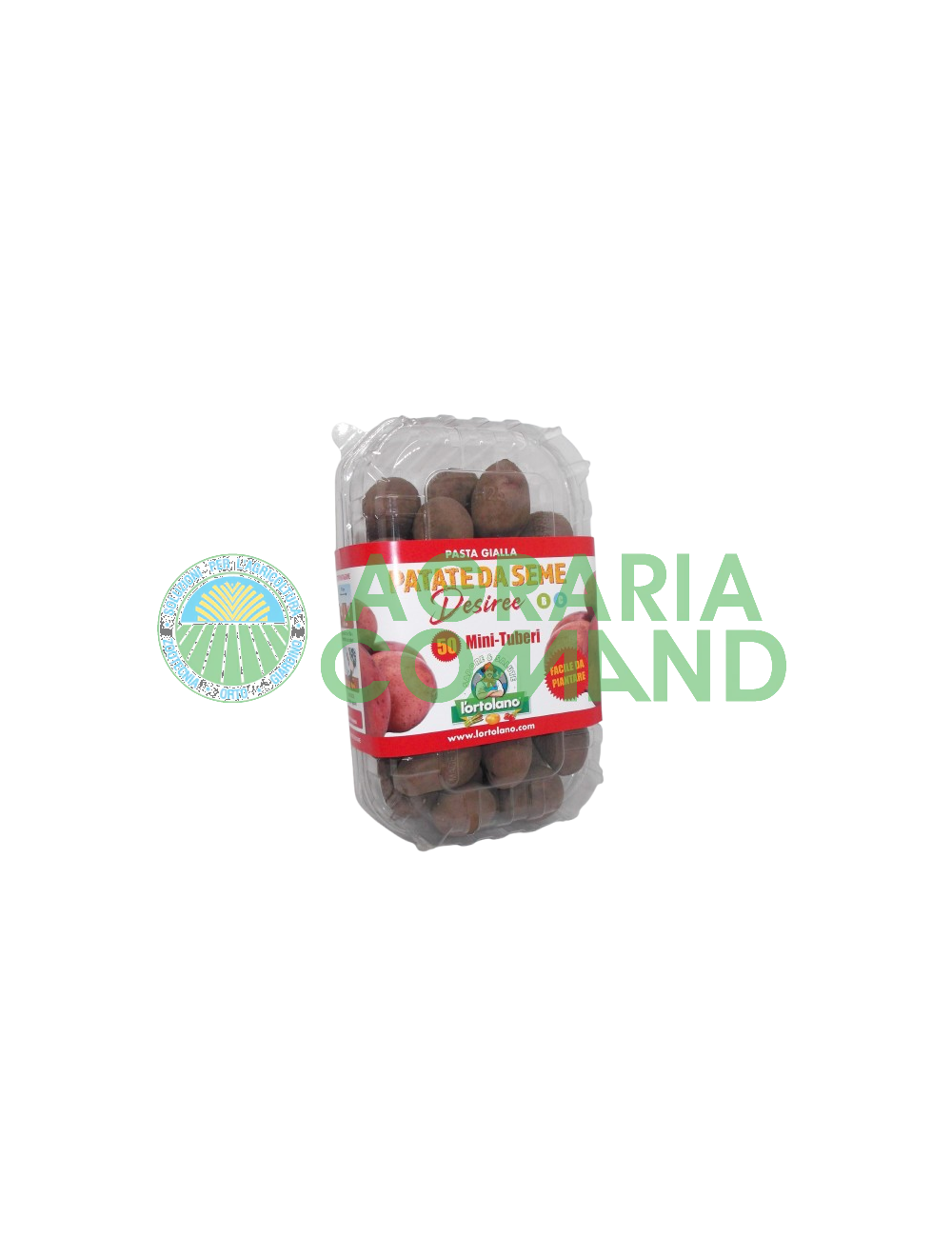 Caja de 50 mini tubérculos Desiree