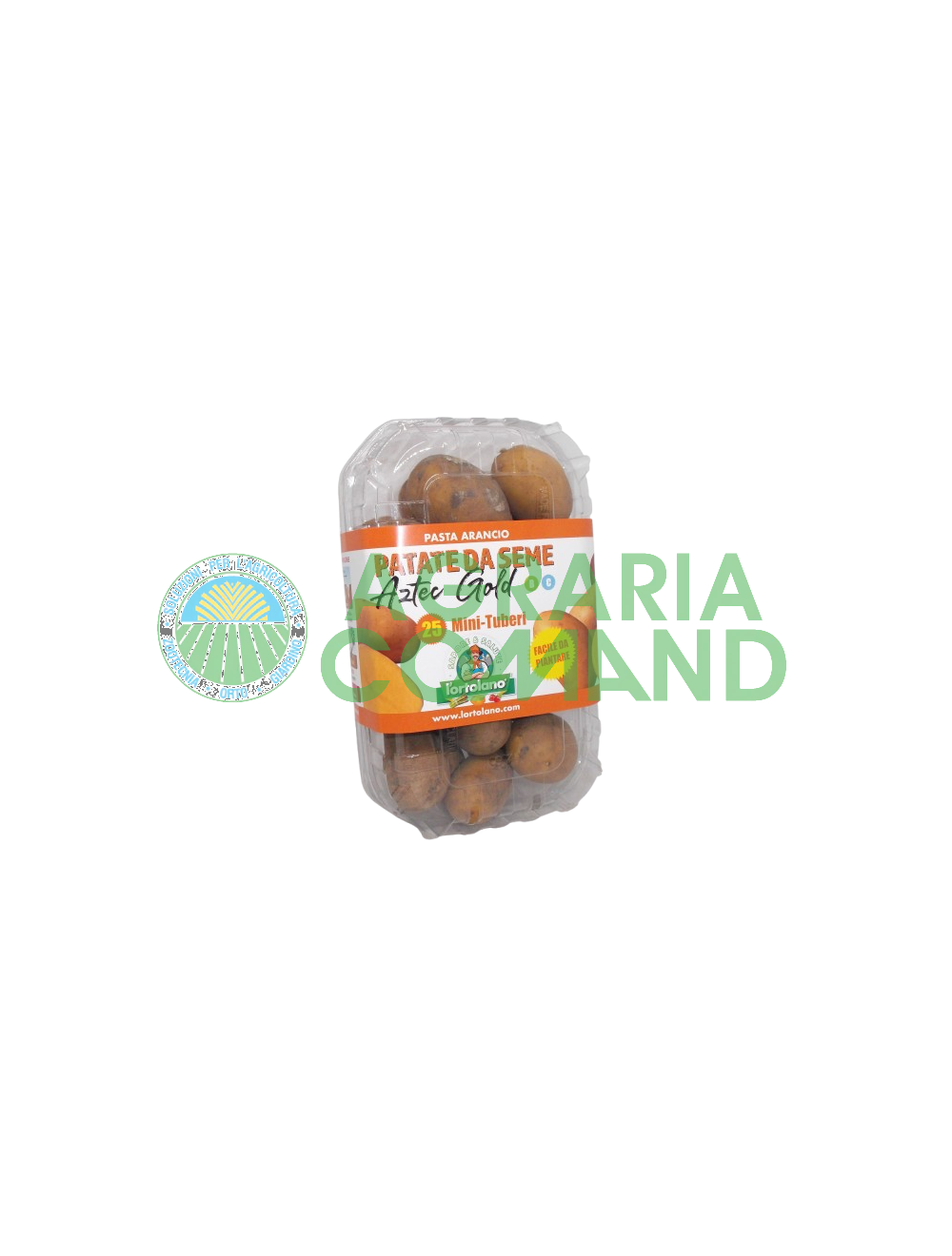 Embalaje de oro azteca Embalaje de oro azteca