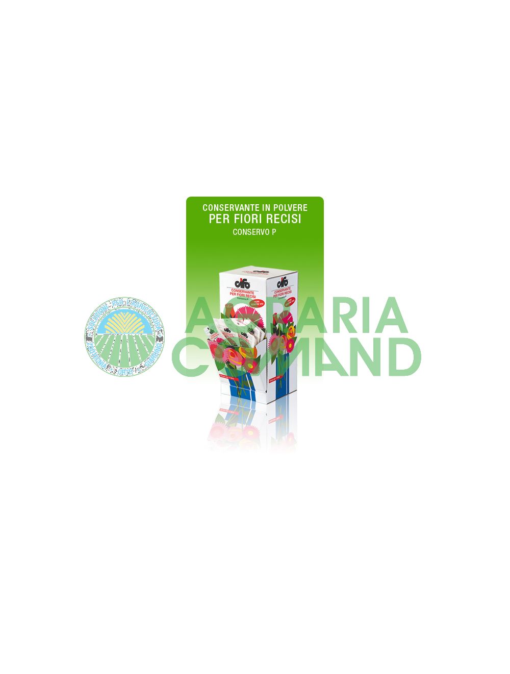 conservar_P para_flores_reciosas