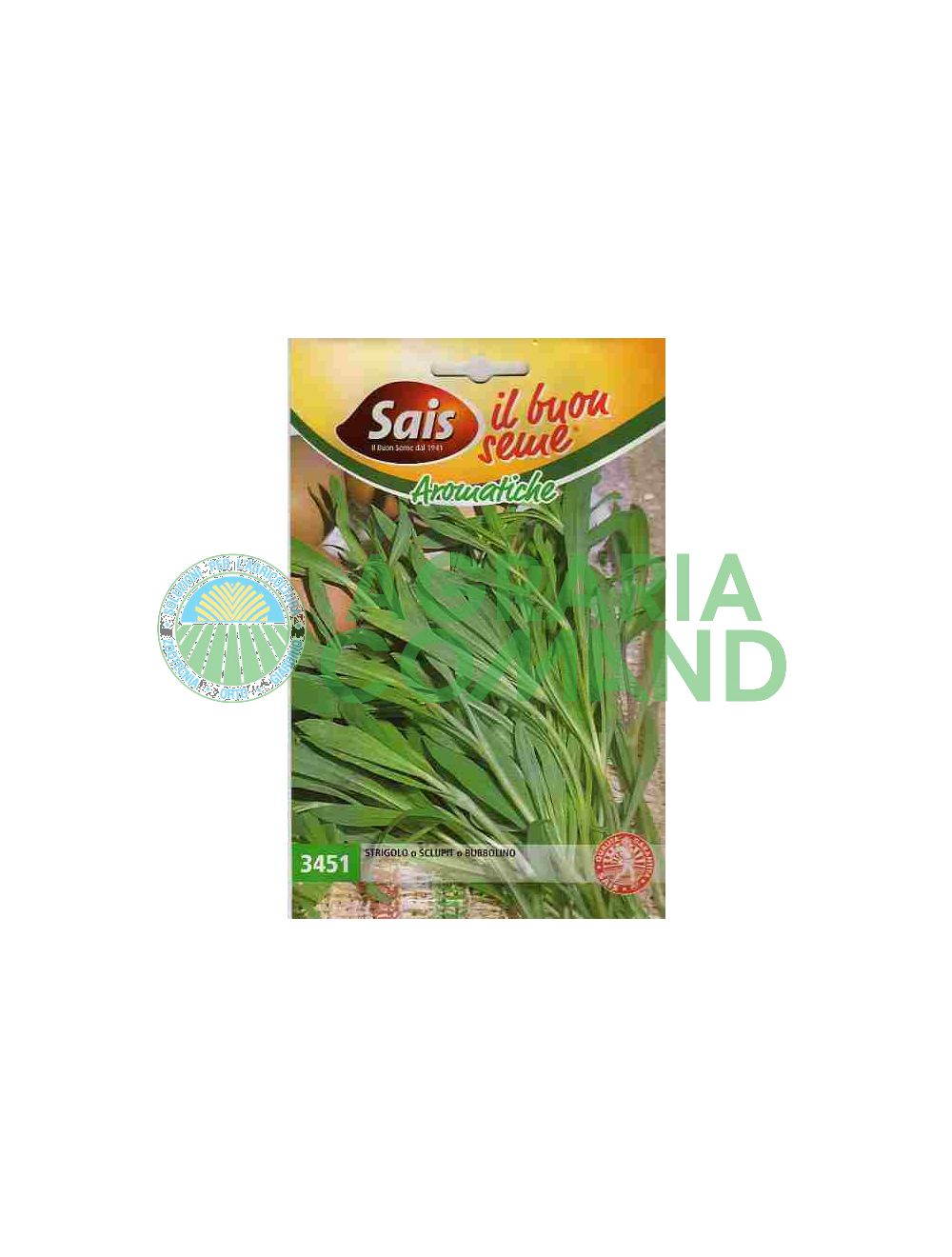 Strigolo Sclupit Bubbolino semilla Strigolo Sclupit Bubbolino semilla