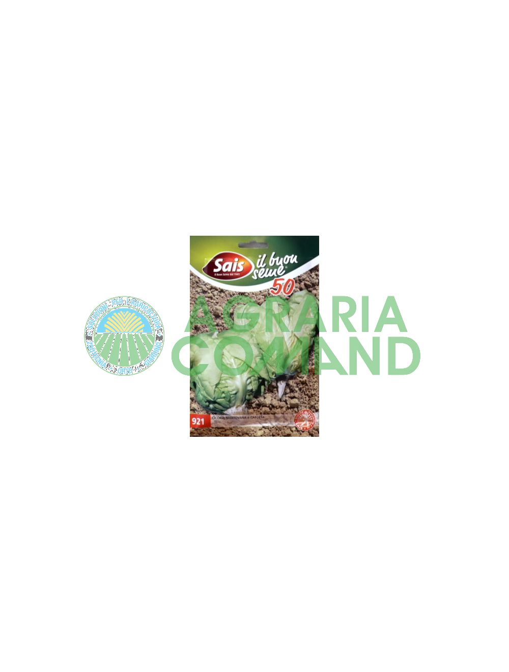 Achicoria de Mantua o Cappotta Achicoria de Mantua o Cappotta