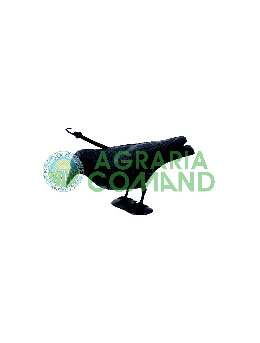 Espantapájaros_raven