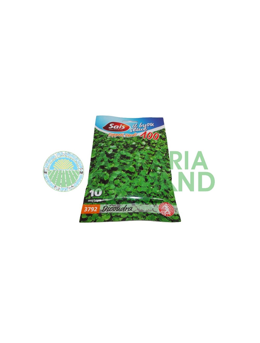 Dichondra repens semilla Dichondra repens semilla