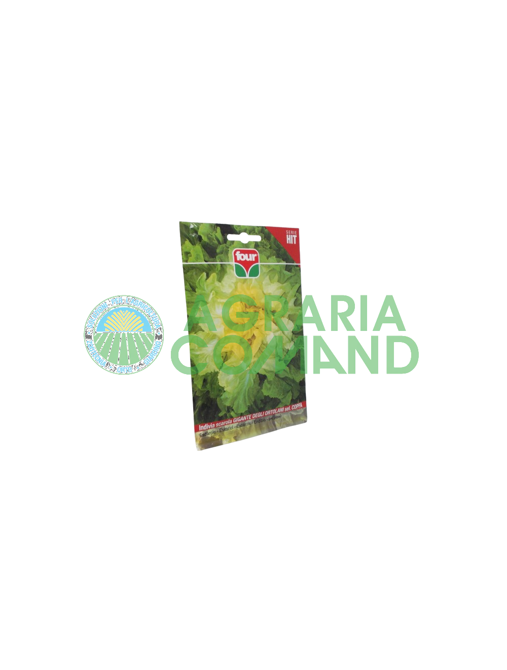 Endivia de la Copa Ortolani Cuádruple selección Endivia de la Copa Ortolani Cuádruple selección