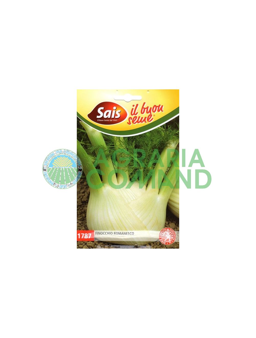 Hinojo Romanesco Hinojo Romanesco