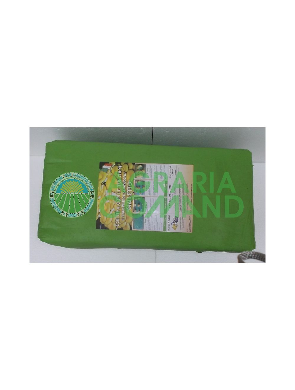 ballet-mush-giallet ballet-mush-giallet