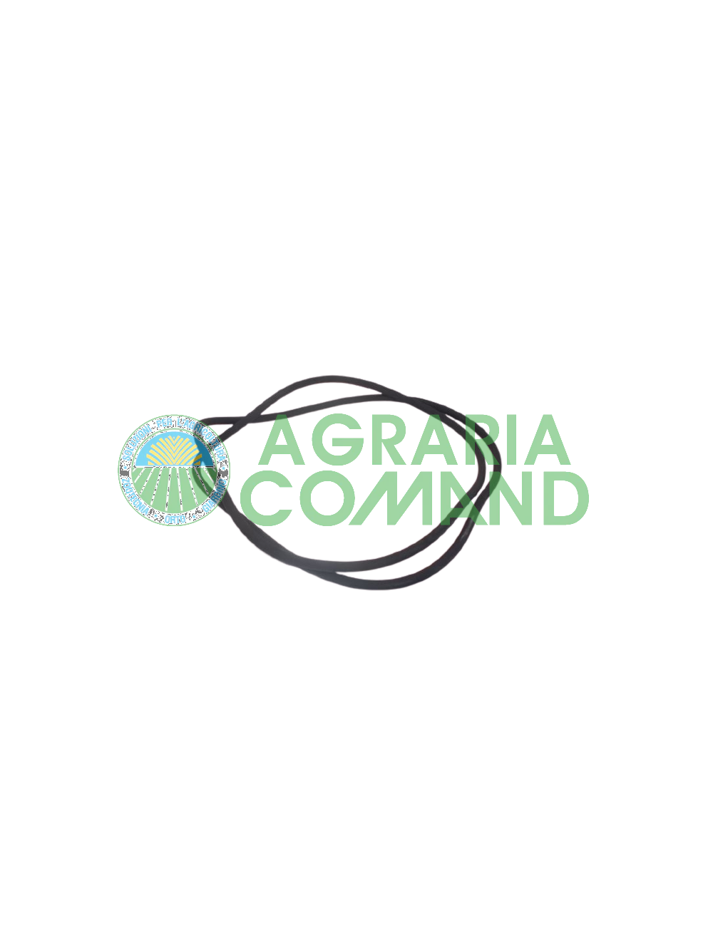 Junta verde reset 60 100