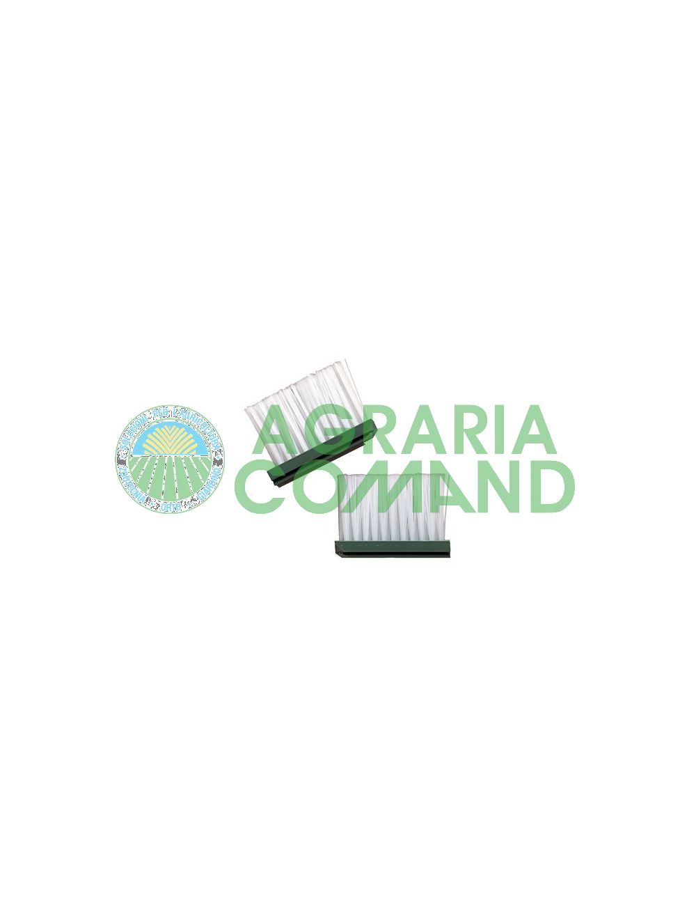 pinceles_para_manual_springer pinceles_para_manual_springer