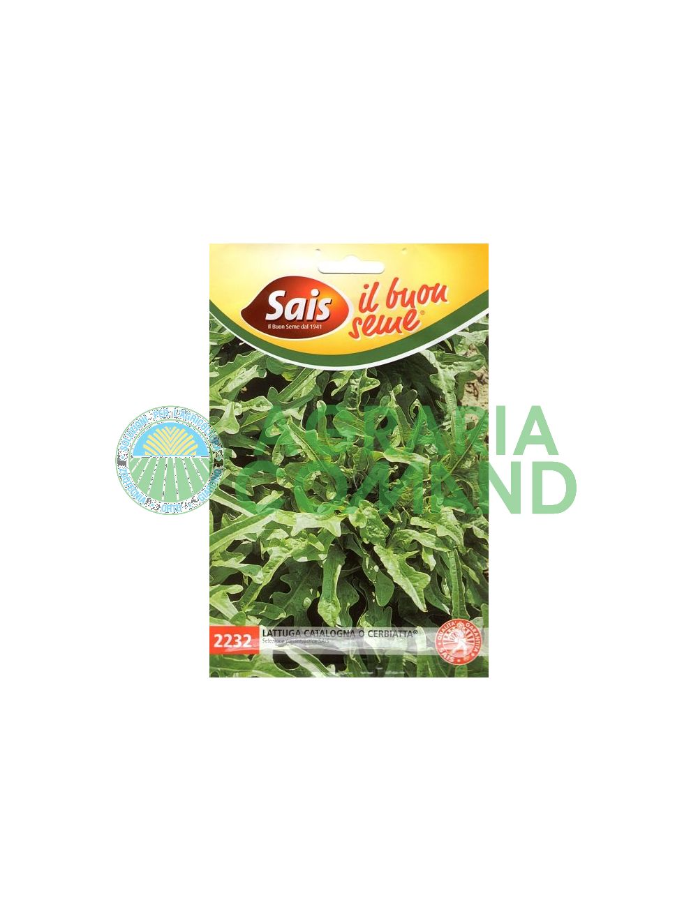 Lechuga de Cataluña Lechuga de Cataluña