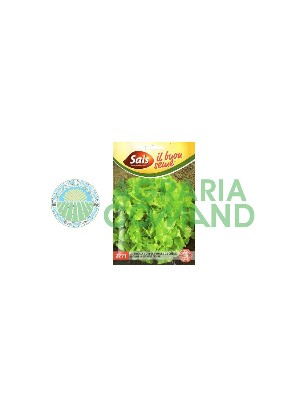 Lechuga_couper_feuille Lechuga_couper_feuille