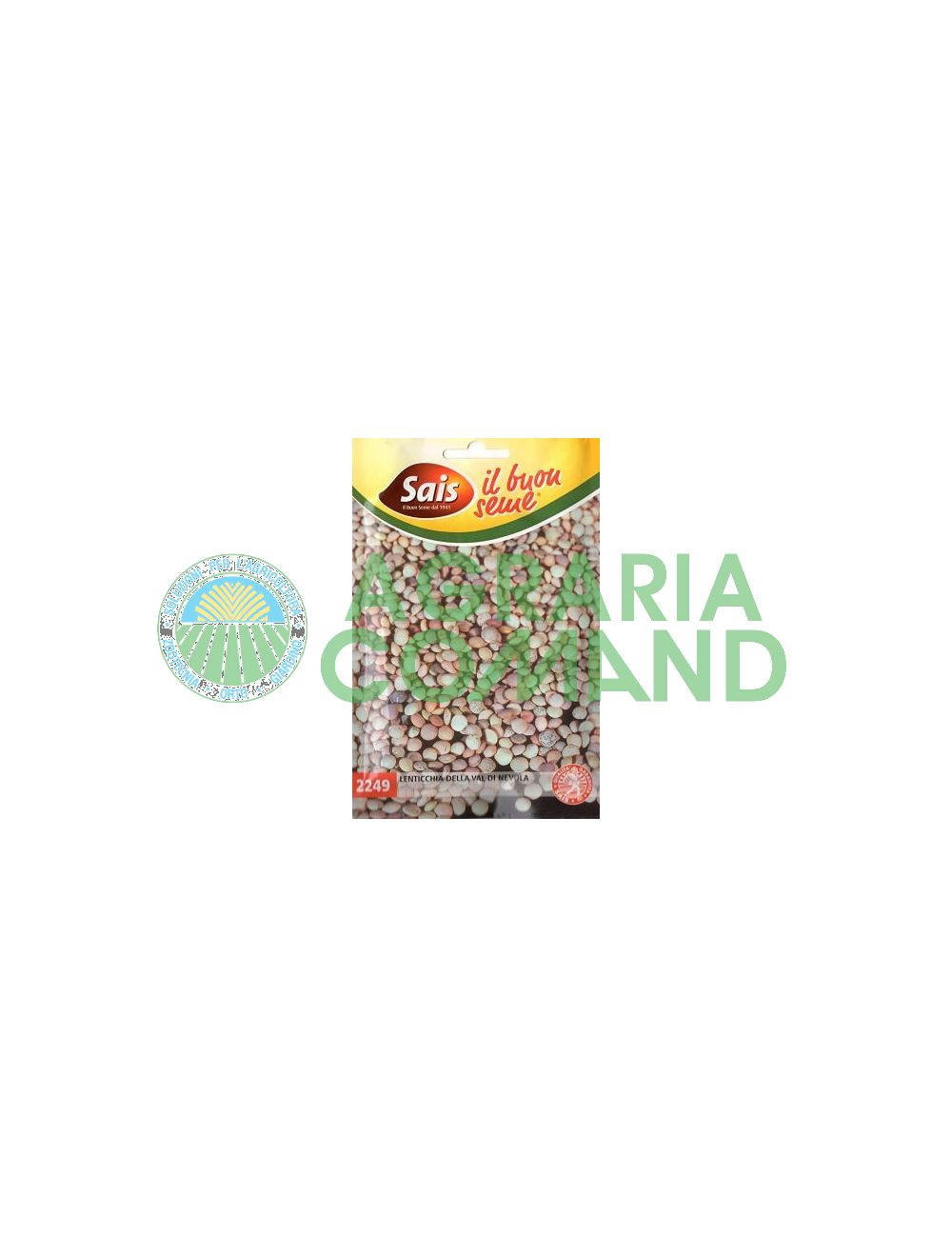 Nevola_seed_lentil