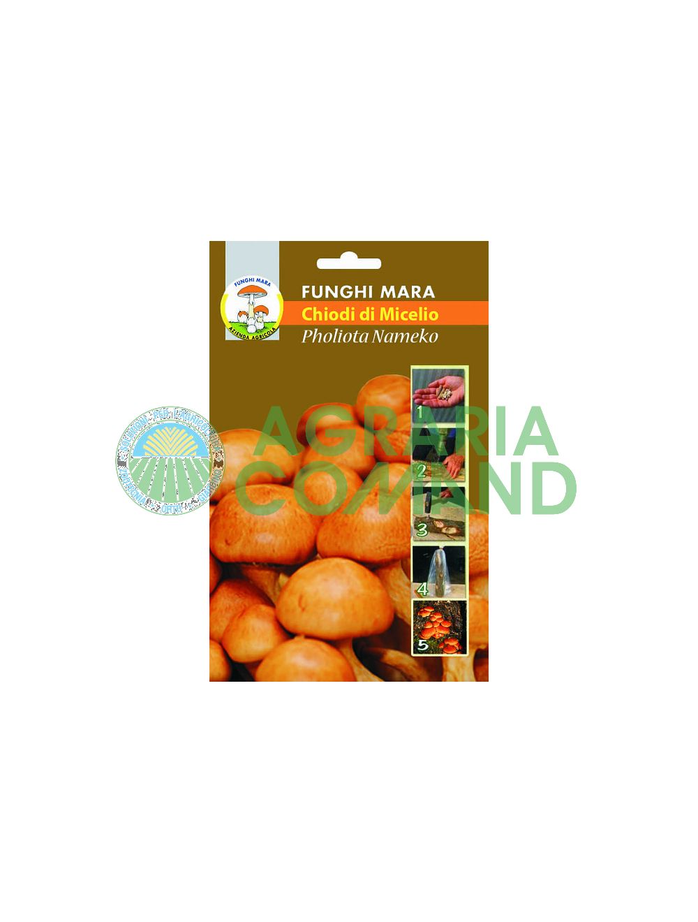 Pholiota nameko uñas