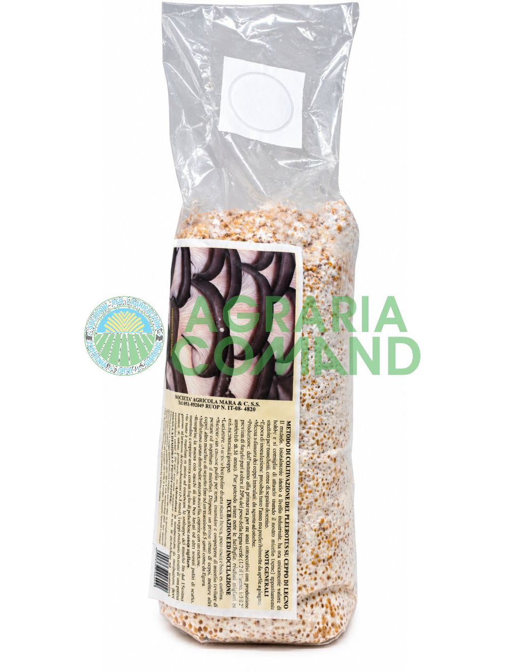 Micelio fresco de Pleurotus ostreatus sobre cereales colonizados, en una bolsa de 2,5 litros, para el cultivo de setas de ostra sobre paja Micelio fresco de Pleurotus ostreatus sobre cereales colonizados, en una bolsa de 2,5 litros, para el cultivo de setas de ostra sobre paja