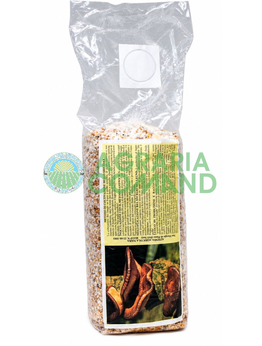 Micelio fresco de shiitake (Lentinula edodes) sobre cereales colonizados, en una bolsa de 2,5 litros para la siembra y el cultivo de setas Micelio fresco de shiitake (Lentinula edodes) sobre cereales colonizados, en una bolsa de 2,5 litros para la siembra y el cultivo de setas