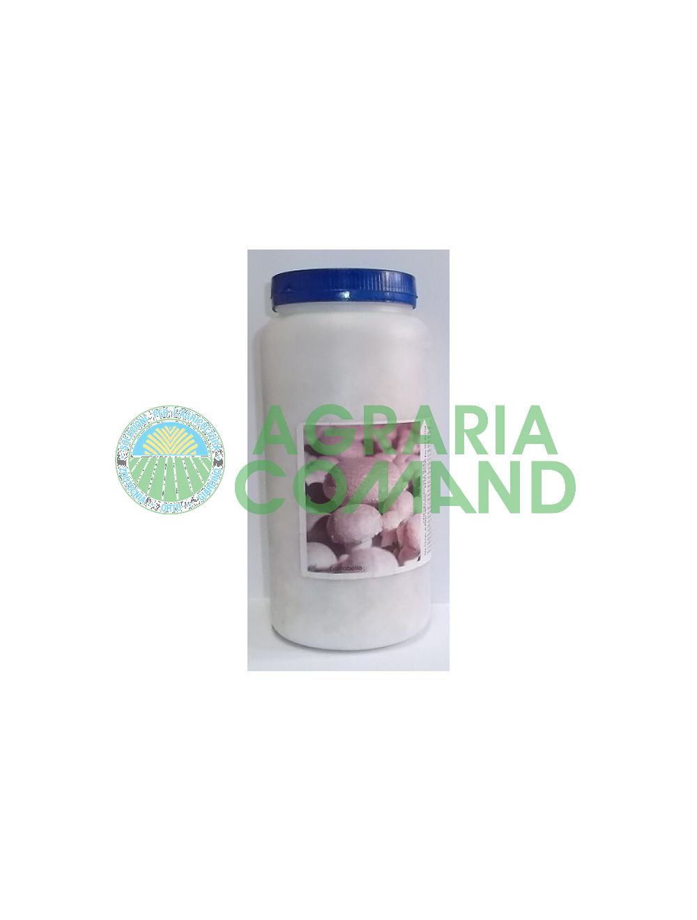 Mycelium_crema_fresca