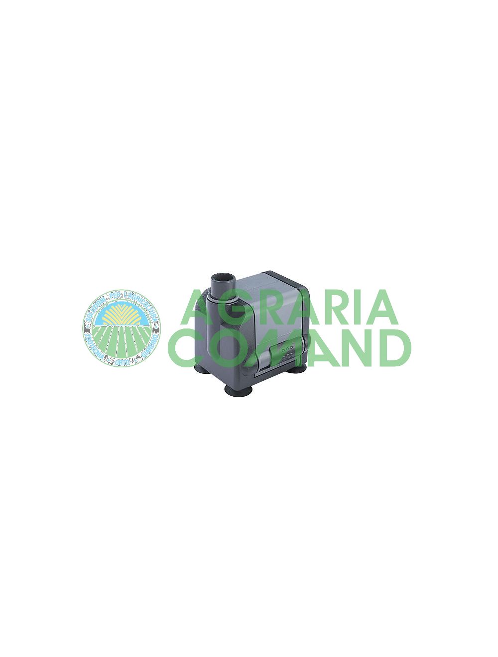 Bomba_Sicce_Micra Bomba_Sicce_Micra