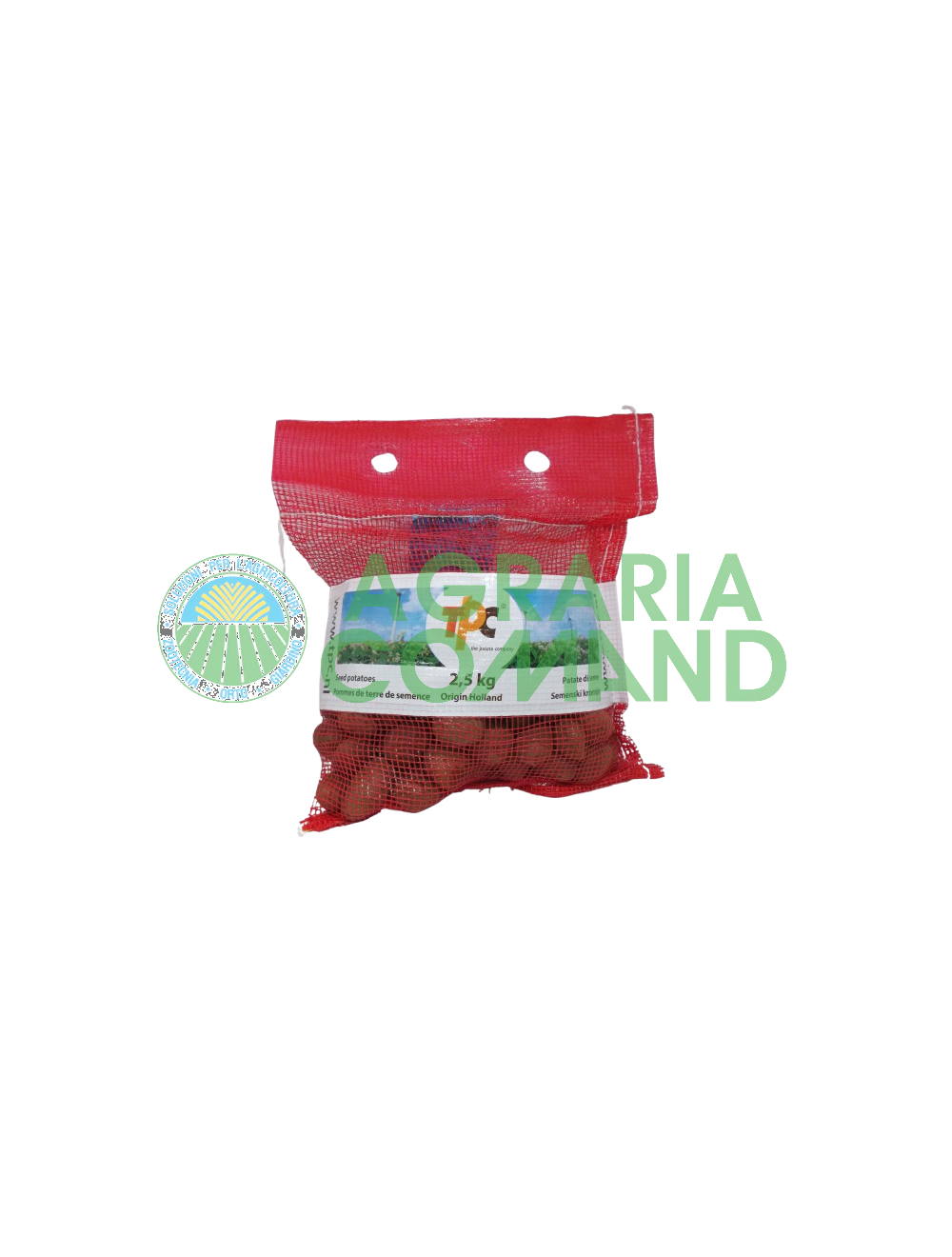 Patatas sa semilla mini tubérculos Desiree de Holanda
