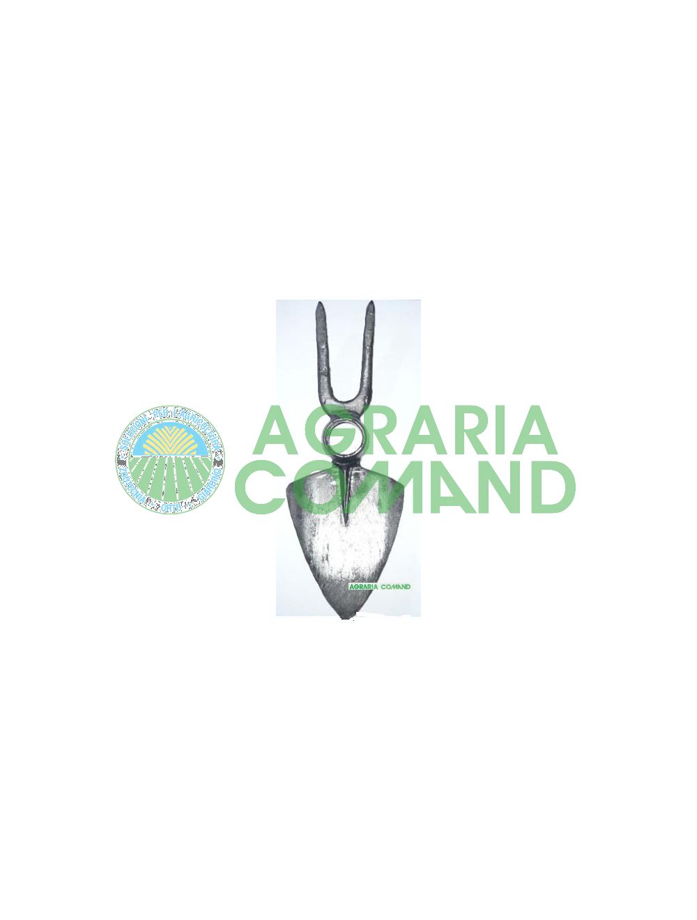 Azada forjada puntiaguda Azada forjada puntiaguda