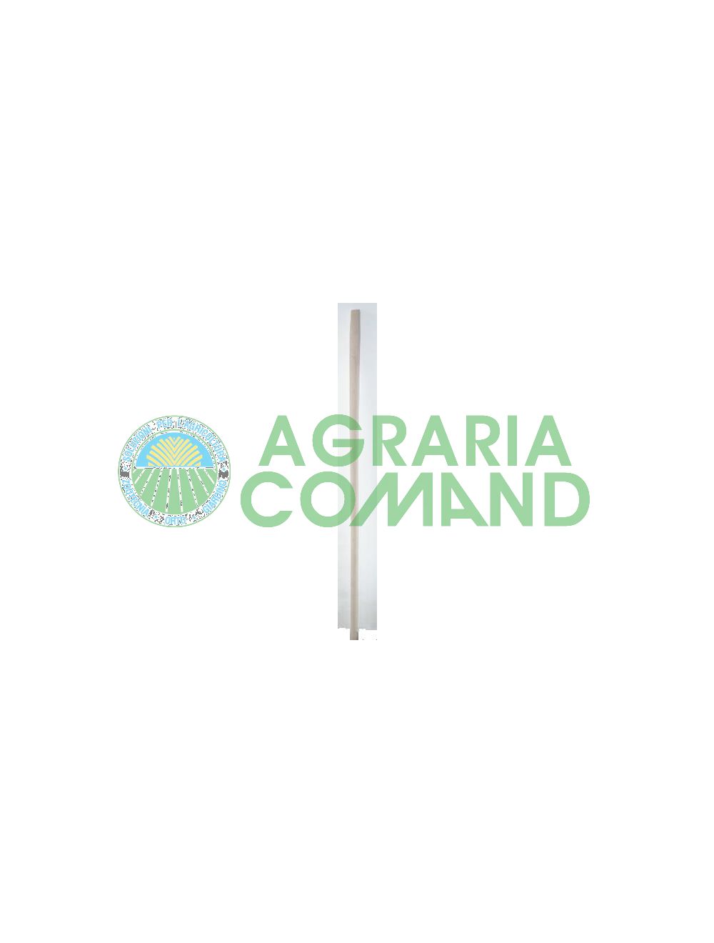 Mango de pala y horquilla de haya