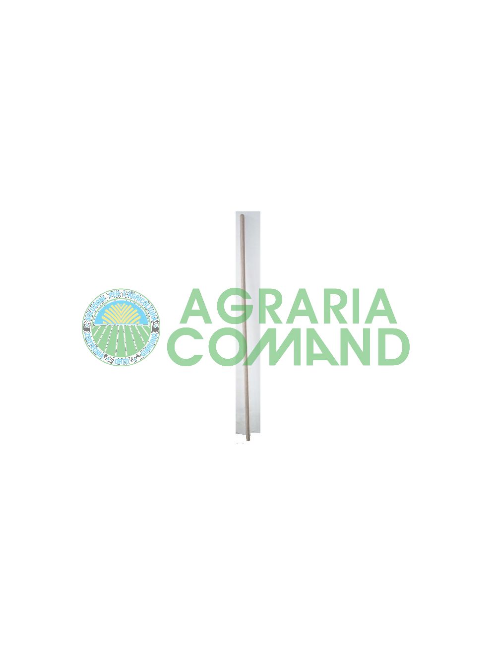 mango de fresno mango de fresno