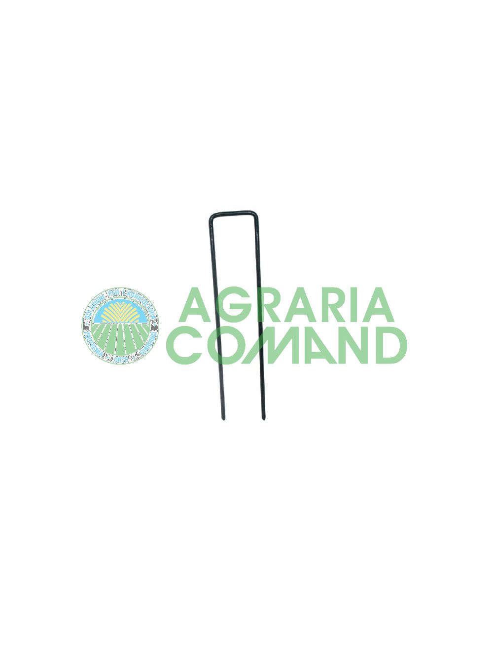 clavija pintada clavija pintada