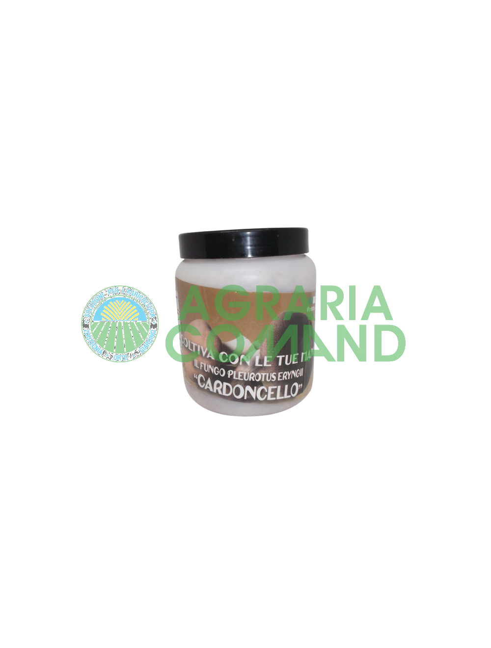 Tarro de micelio fresco Cardoncello Tarro de micelio fresco Cardoncello