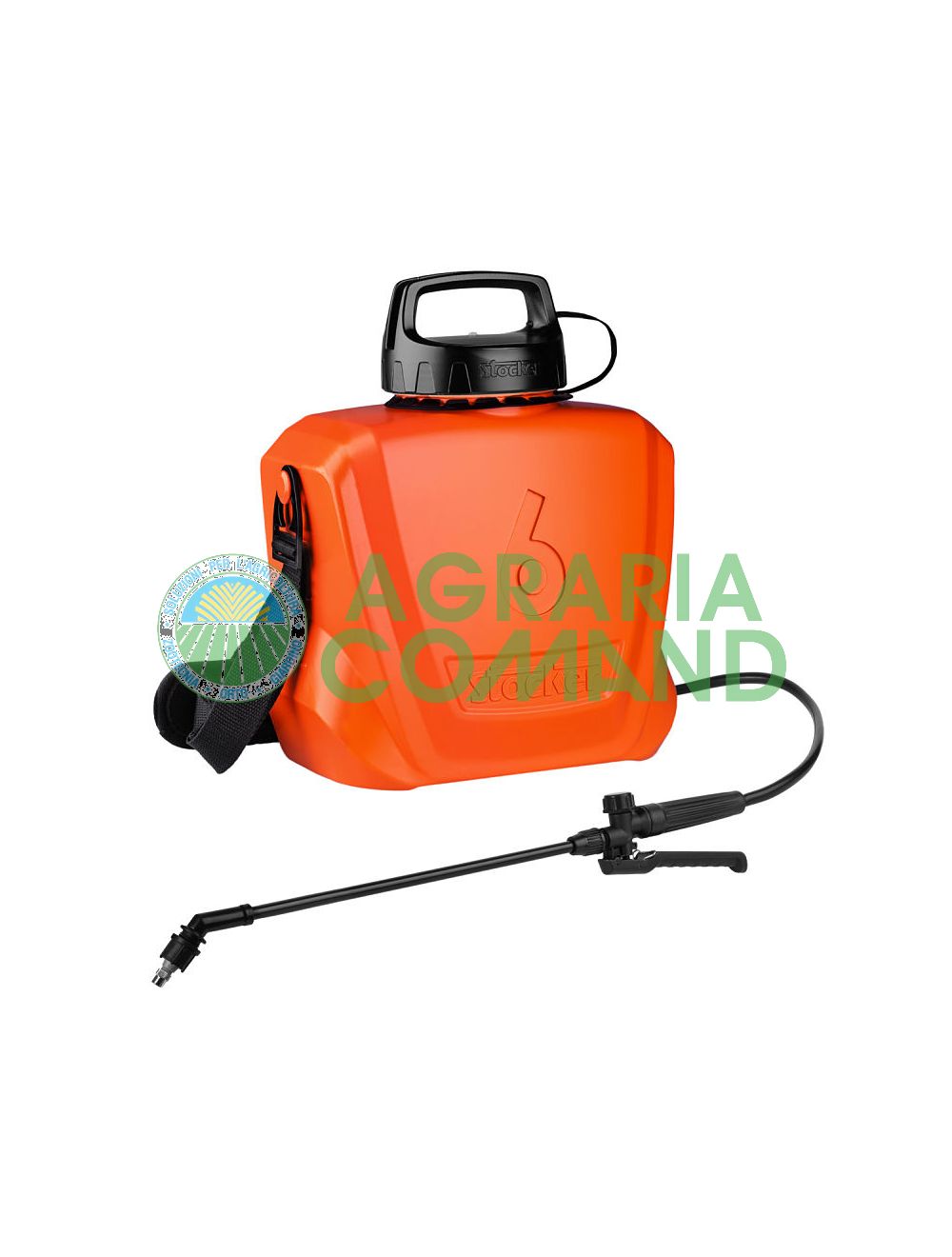 Bomba Thalia Bomba Thalia