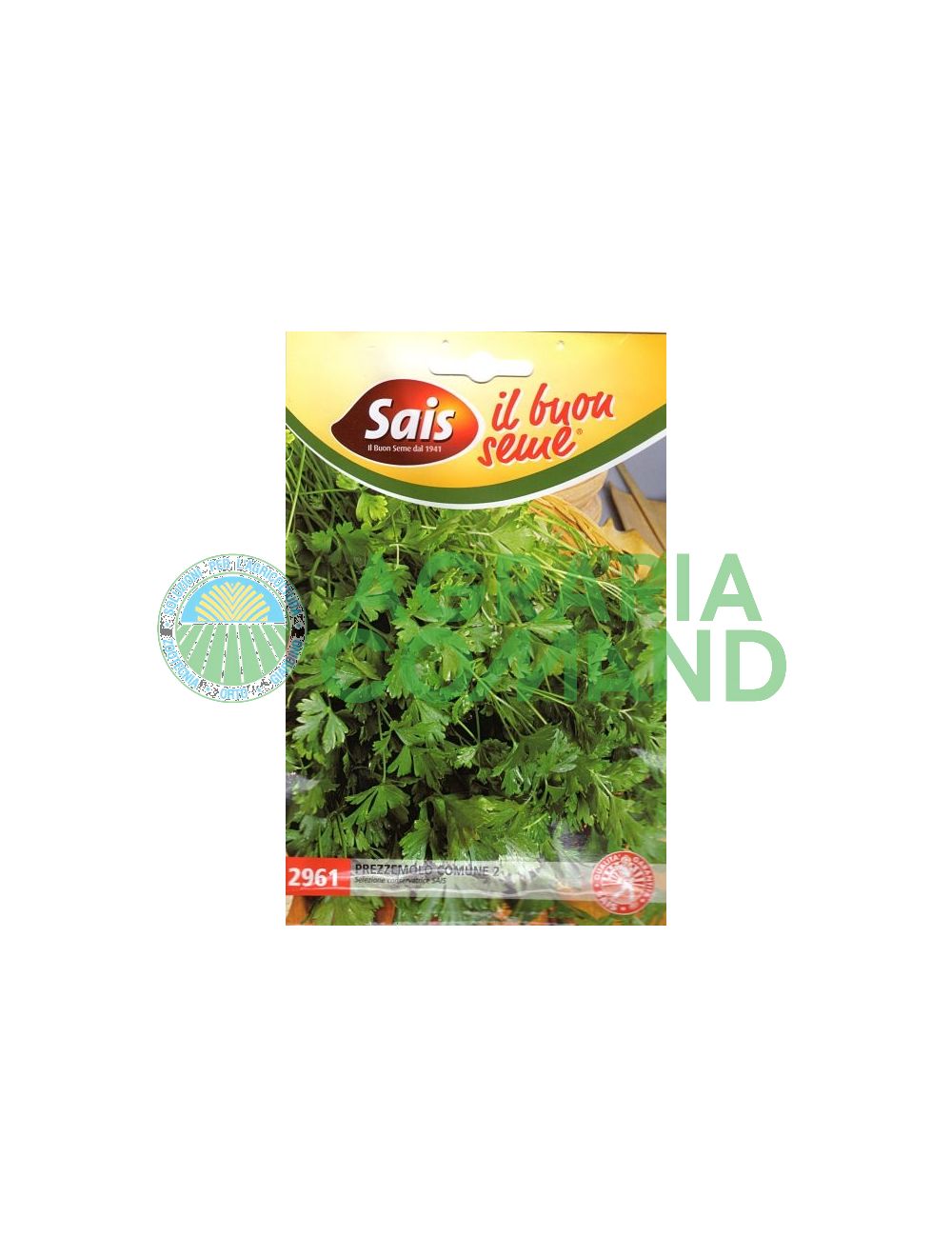 Perejil común Perejil común