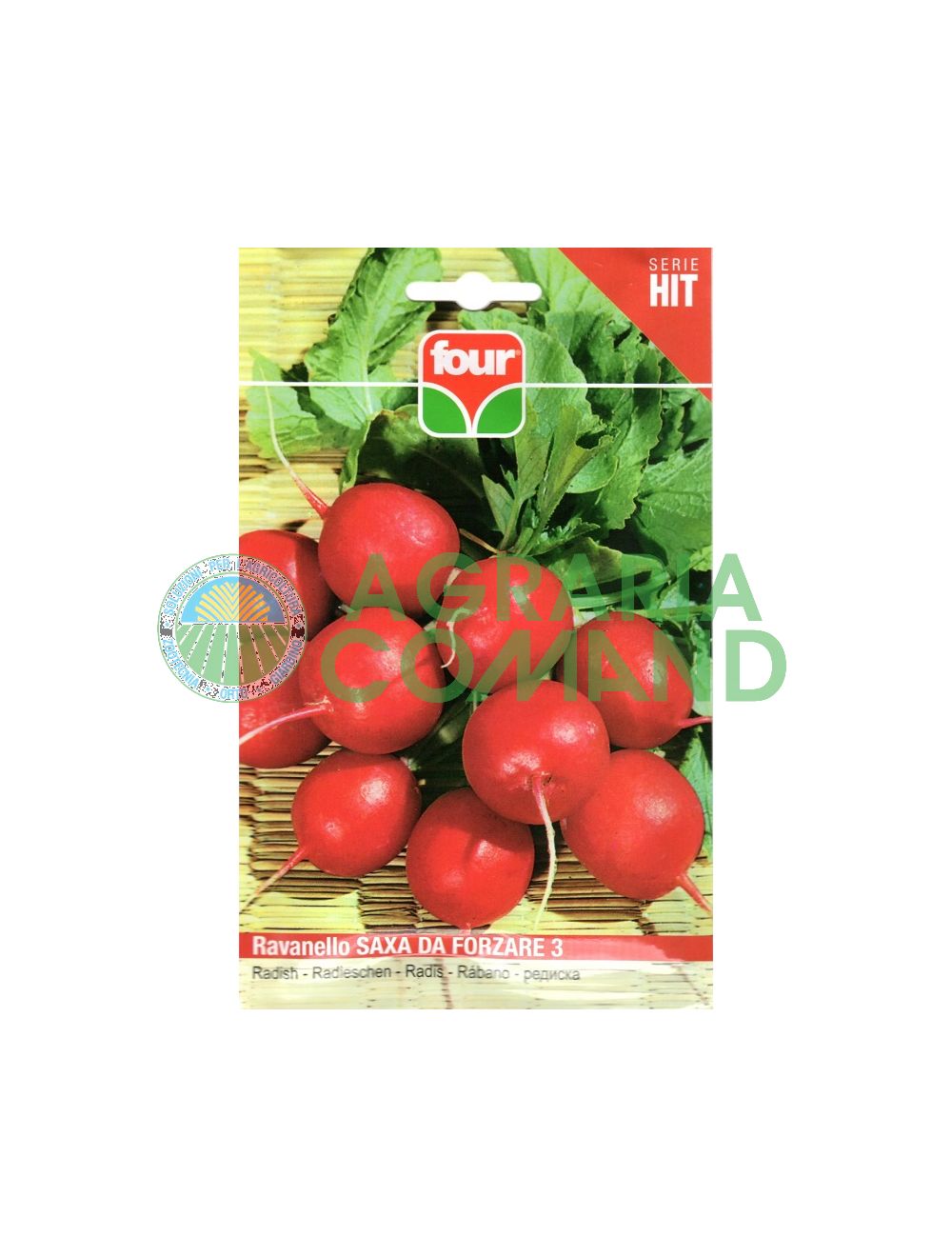 Semillas de rábano sajón para forzar 3 Semillas de rábano sajón para forzar 3